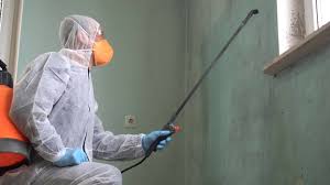 Best Emergency Mold Remediation  in Scarsdale, NY