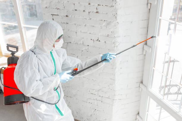 Best Mold Odor Removal Services  in Scarsdale, NY