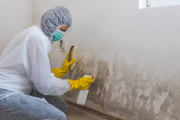 Best Residential Mold Inspection & Testing  in Scarsdale, NY