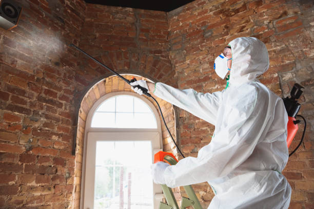 Mold Documentation for Insurance Claims in Scarsdale, NY