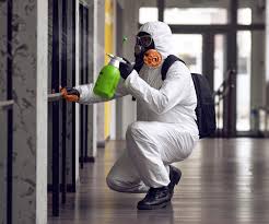 Mold Remediation for Rental Properties in Scarsdale, NY